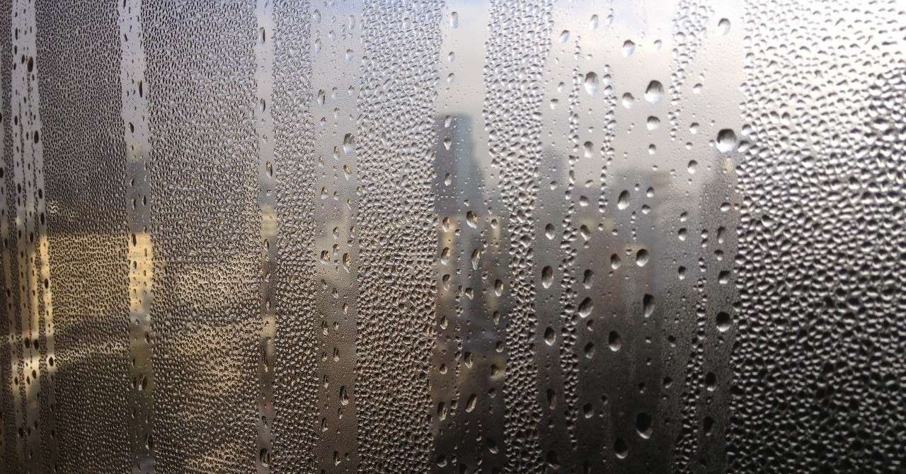 写真_2012-12-29_8_39_24