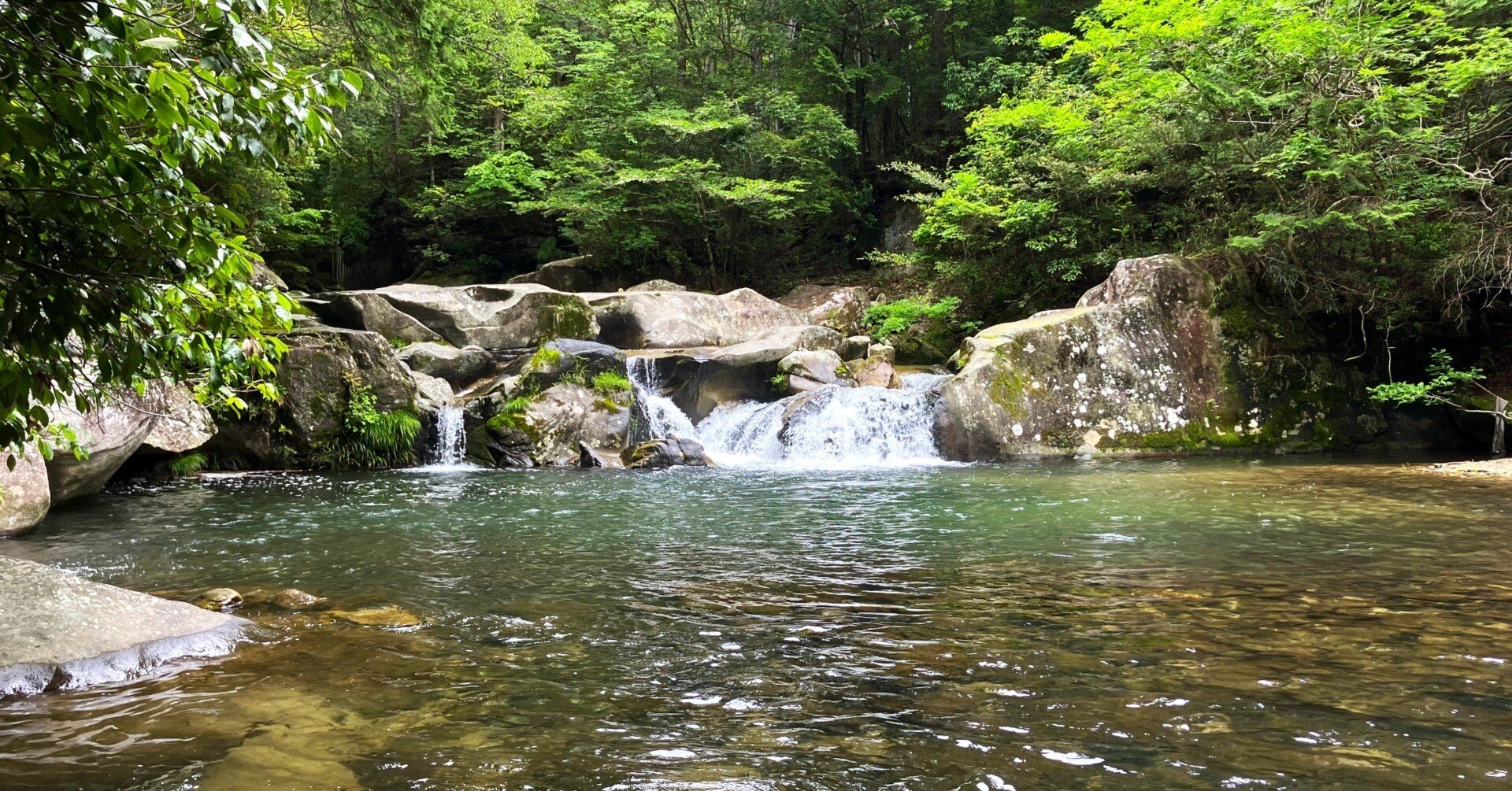 自然散策】乙川上流・大滝（愛知県岡崎市）｜ネコチャーン