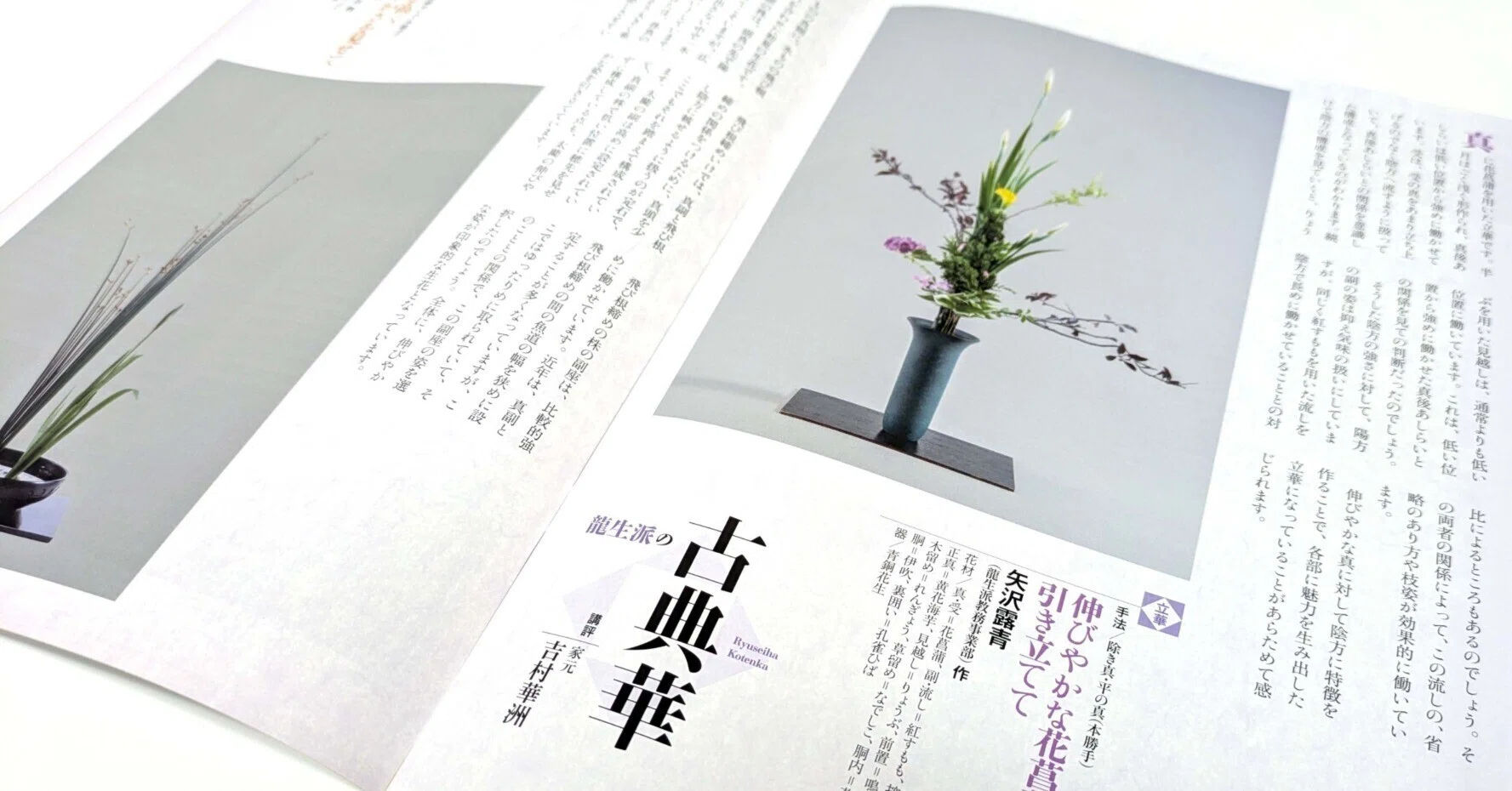 立華＝花菖蒲を伸びやかに用いて／生花=かきつばたに太藺を合わせた