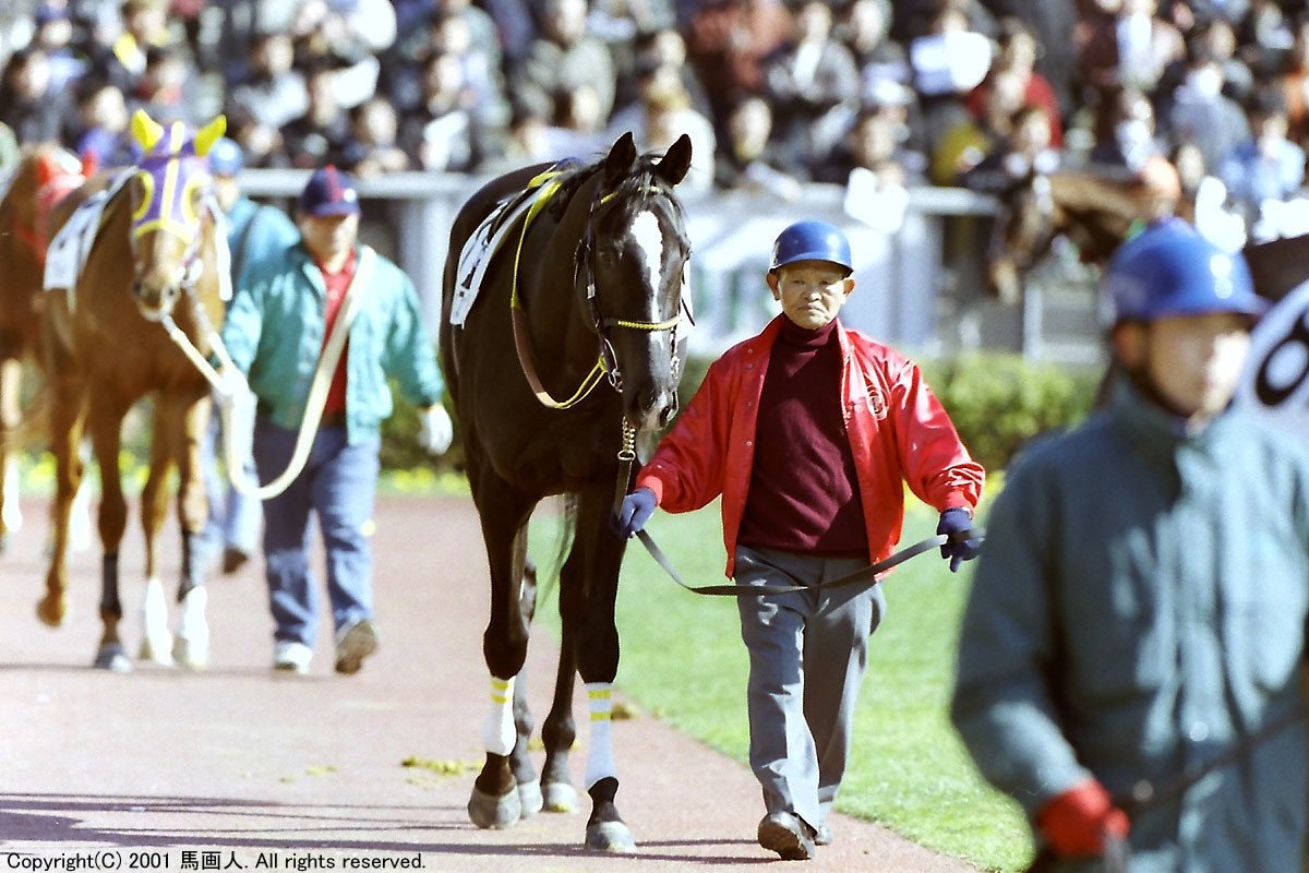 G1/3勝 種牡馬でも成功マンハッタンカフェ急死！放牧中倒れる