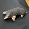 bigmole