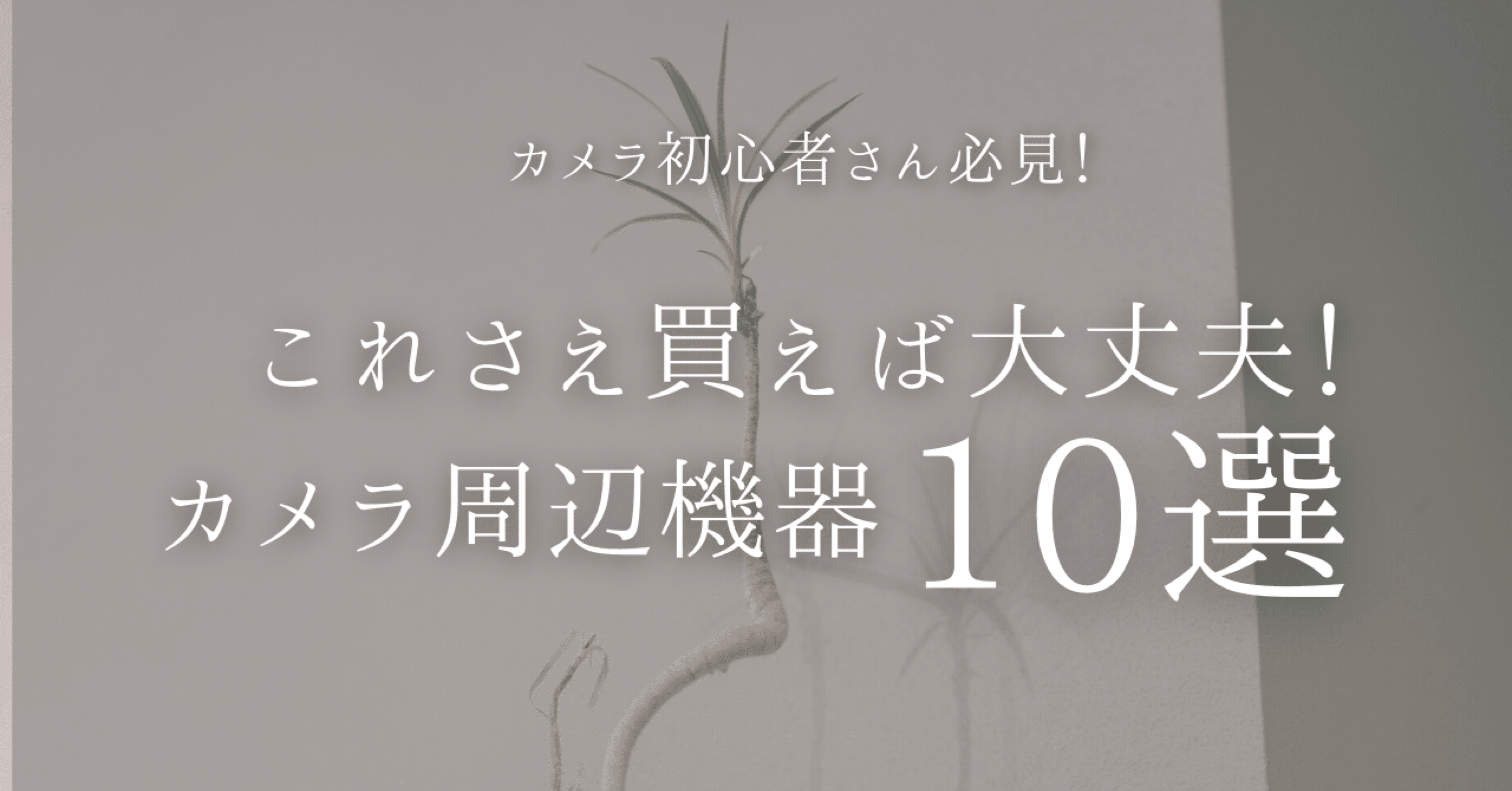これさえ買えば大丈夫！カメラ周辺機器10選｜ふちゃん | 日常を撮る人
