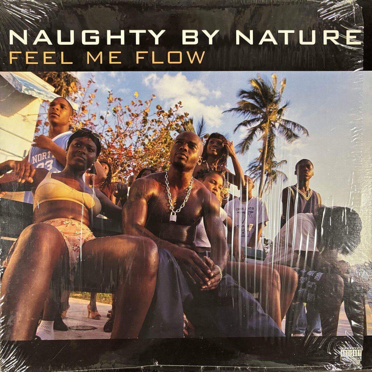 Noughty by Nature / Poverty's Paradise｜HIP HOP JUNKIEEES