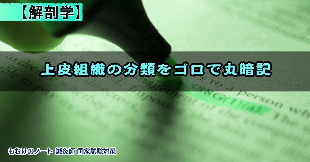 語呂 意味