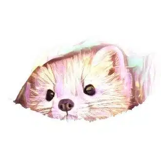 えぞてん