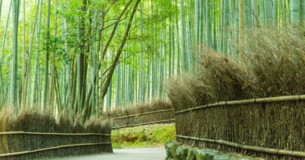 山と道」の人気タグ記事一覧｜note ――つくる、つながる、とどける。