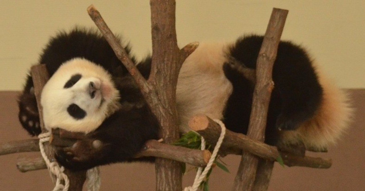 野生の動物写真集を作ろう ざがねarwisroly Note