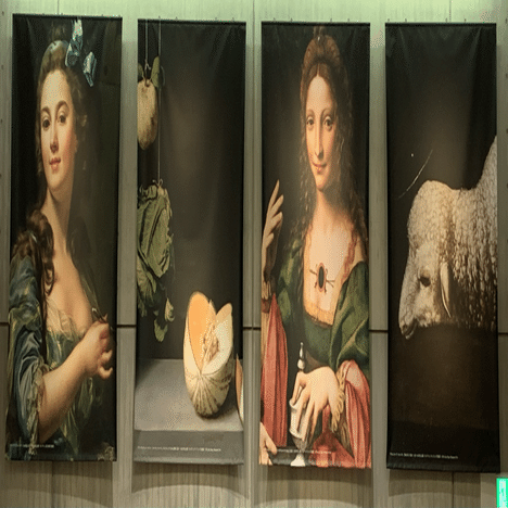 どこ見る展】責任を持って勝者を決める、西洋VSサンディエゴ①北方