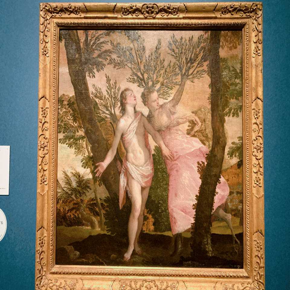 どこ見る展】責任を持って勝者を決める、西洋VSサンディエゴ①北方