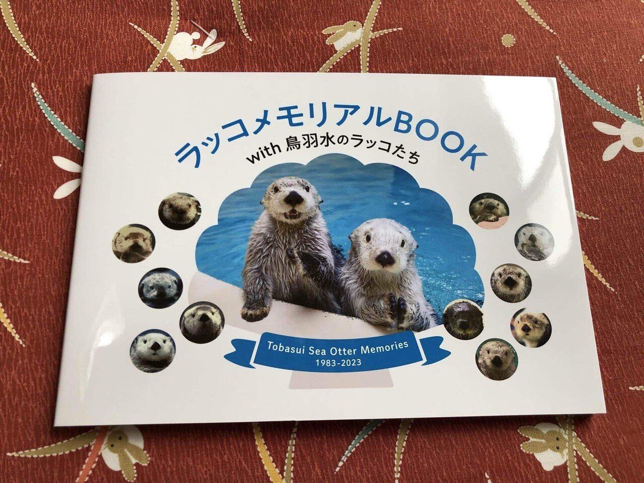 ラッコメモリアルBOOK 61gy4-w2NOL._UF894,1000_QL80_.jpg