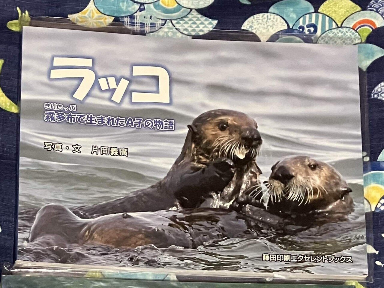 おすすめラッコ本まとめ｜Olivine