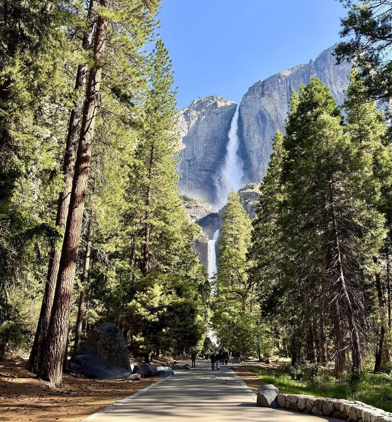 ビエルスター作　ヨセミテの谷 Valley of the Yosemite - Wikipedia