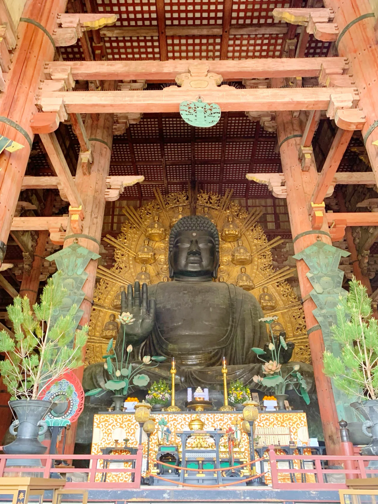 普段は開かない門が特別に！大仏様に見守られお土産まで頂けるお茶会と