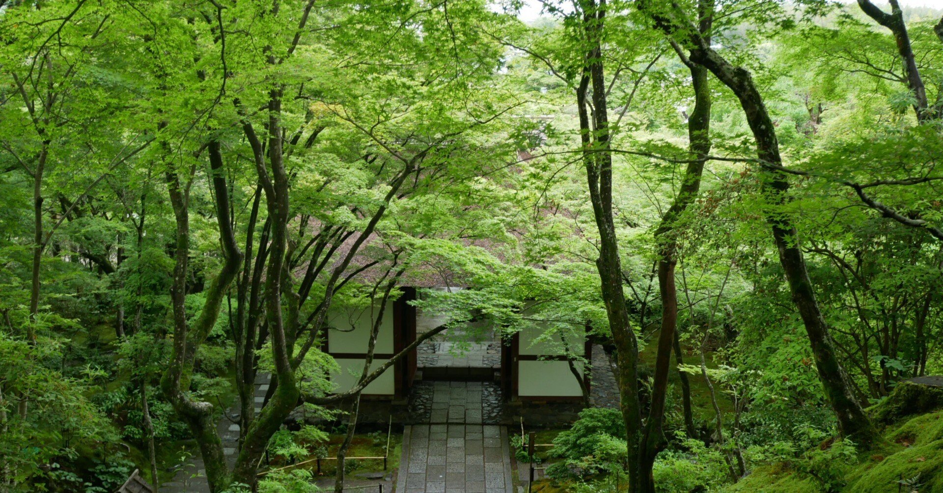 風景画「紅葉の常寂光寺Ⅱ」油彩画 F10 京都・嵯峨野 張りキャンバス・額なし 風景画「紅葉の常寂光寺Ⅱ」油彩画 F10 京都・嵯峨野 張りキャンバス
