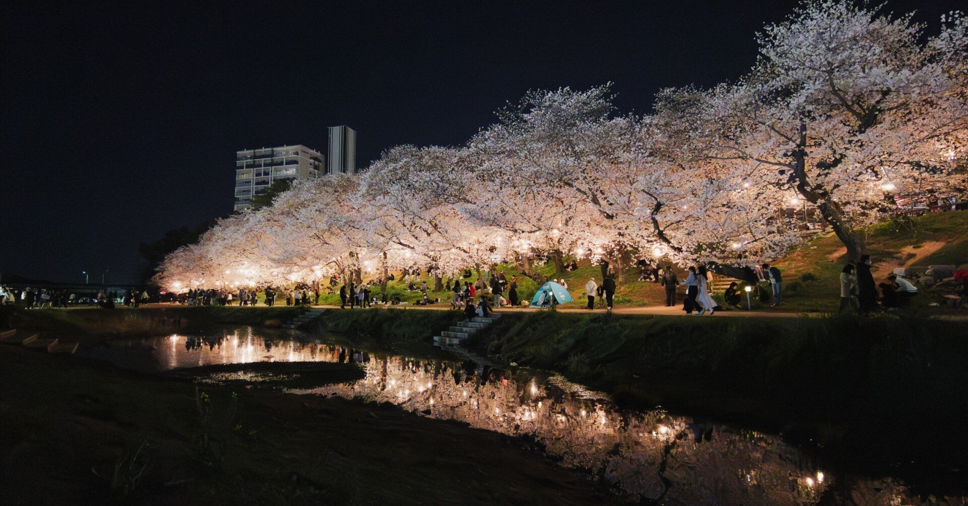 LUMIX S9で夜桜を撮った話｜イノウエノリユキ