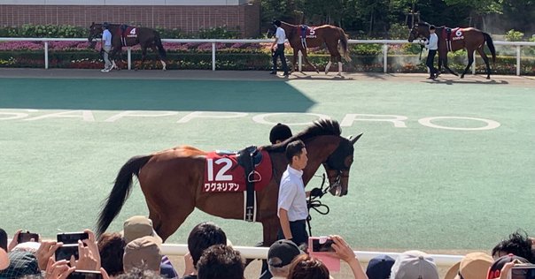 祐一独占手記】コントレイル無敗2冠「責任果たせた」｜競馬