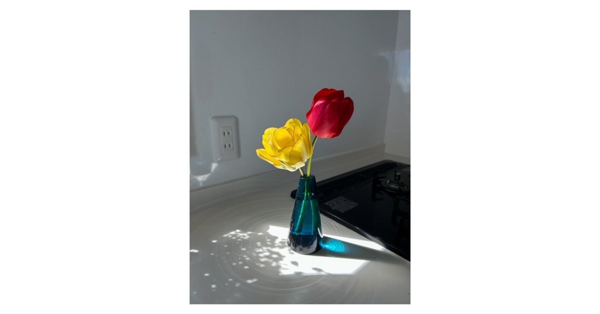 仕事と生活と創作｜2025年5月報｜佐々木ののか｜佐々木ののか