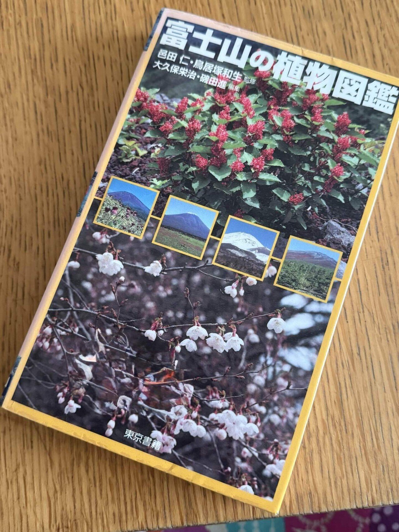 富士山の植物図鑑』巴田仁他監修、東京書籍(2007)|樹木も人も 富士山の植物図鑑』巴田仁他監修、東京書籍(2007)|樹木も人も