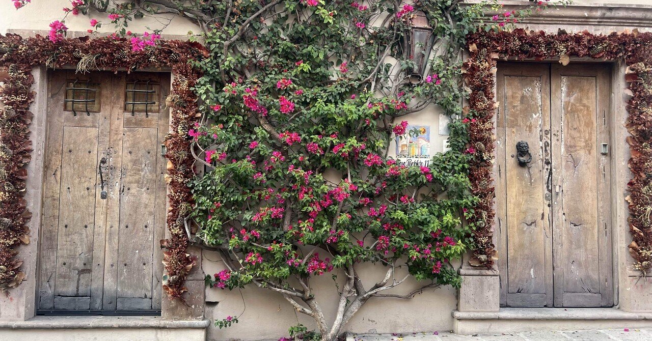 メキシコ民族スウェードボア AXOPAR 37 XC 未登録新艇(39ft/12m) 2025年12月入荷予定 特別