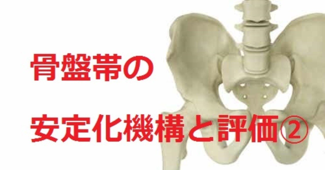 骨盤の安定化機構と評価②｜Lee