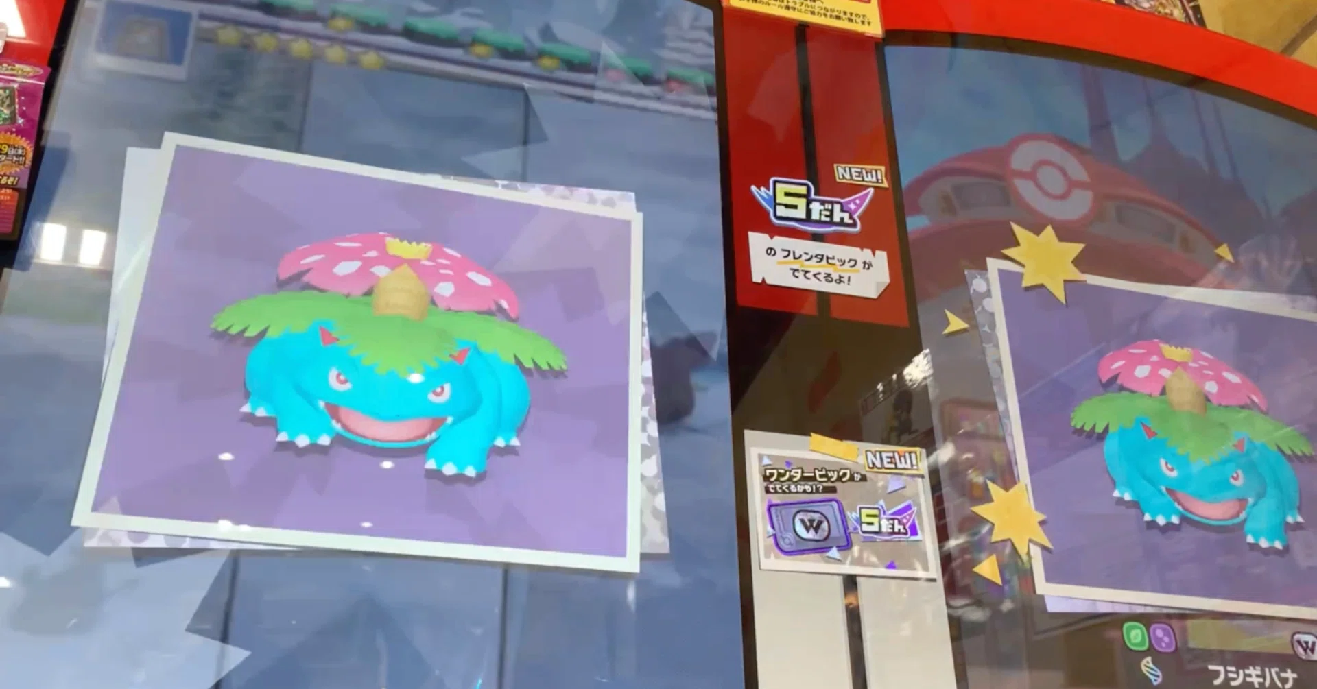 ポケモンフレンダ】ワンダータッグ