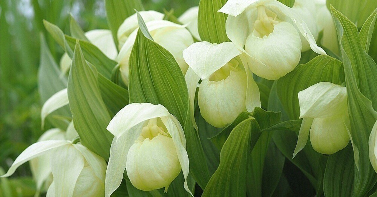 rectangle_large_type_2_2205ac9