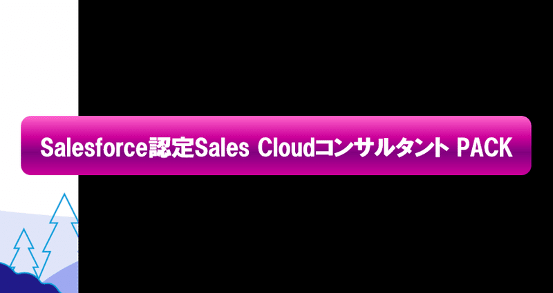 Salesforce 研修テキスト Sales Cloudコンサルタント向け Salesforce認定Sales Cloudコンサルタント100題 過去問+模擬問題