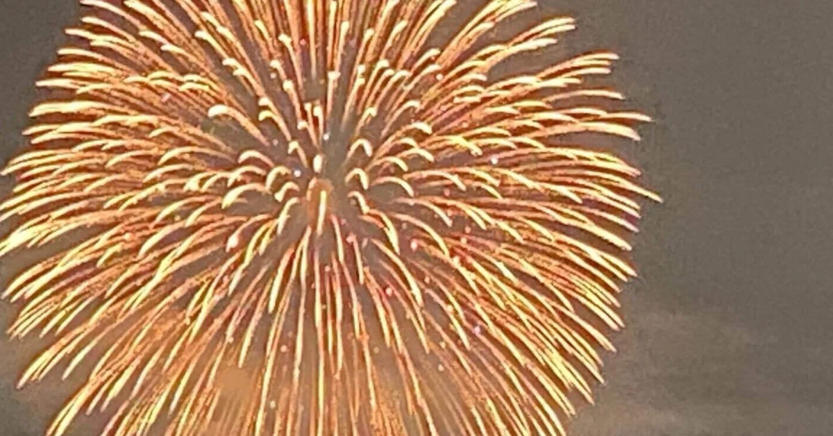 Fireworks by Hoshi Shiitake [Work Introduction]｜SaiNa