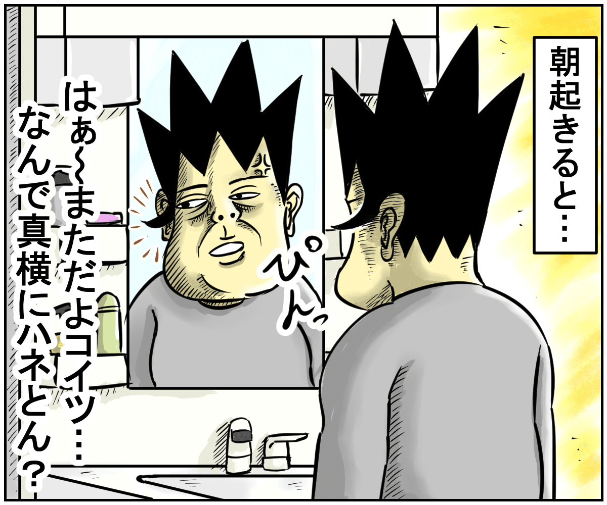 言う事を聞かない__ひねくれたモミアゲ_