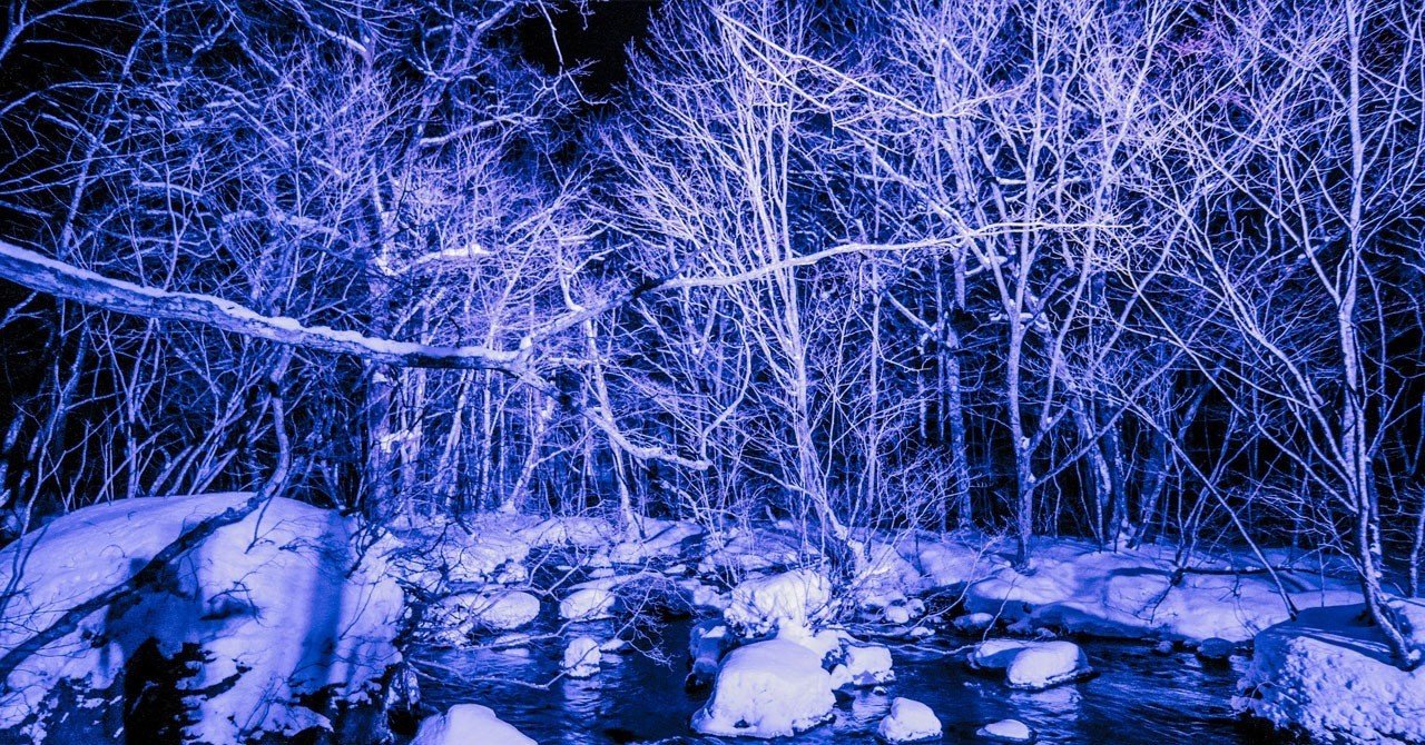 夜 雪の森を歩く みんなのフォトギャラリー ぷらいまり Note 夜 雪の森を歩く みんなのフォトギャラリー ぷらいまり Note