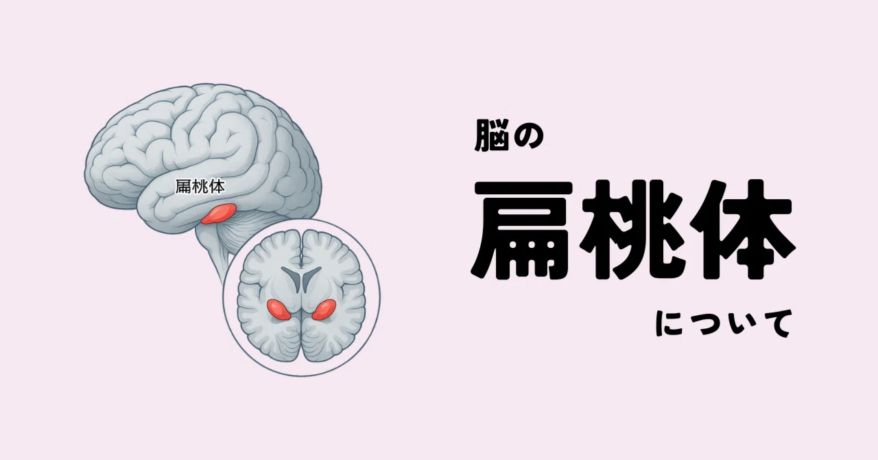 瞑想・マインドフルネス×脳科学｜ZONE｜ウェルネスな脳科学🧠🌿｜note