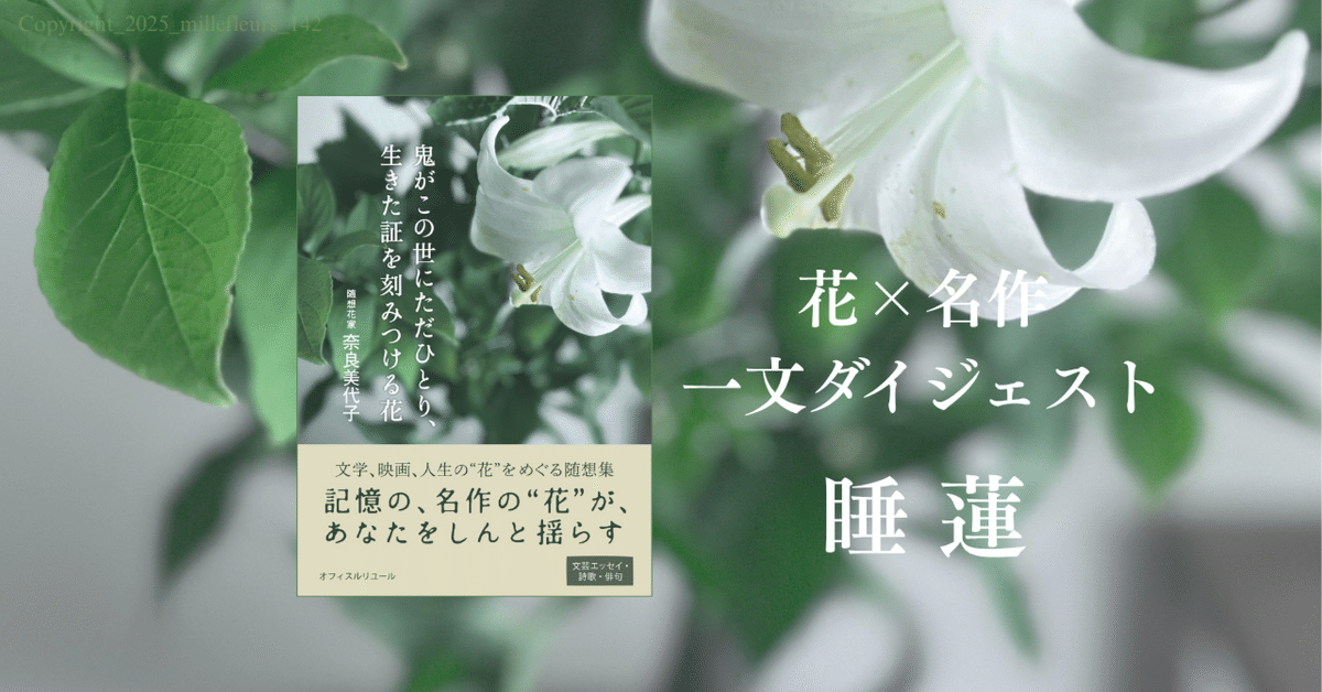 宝石の睡蓮　日本語版　1枚 TzmFq1a2ALG5.jpg?width=768