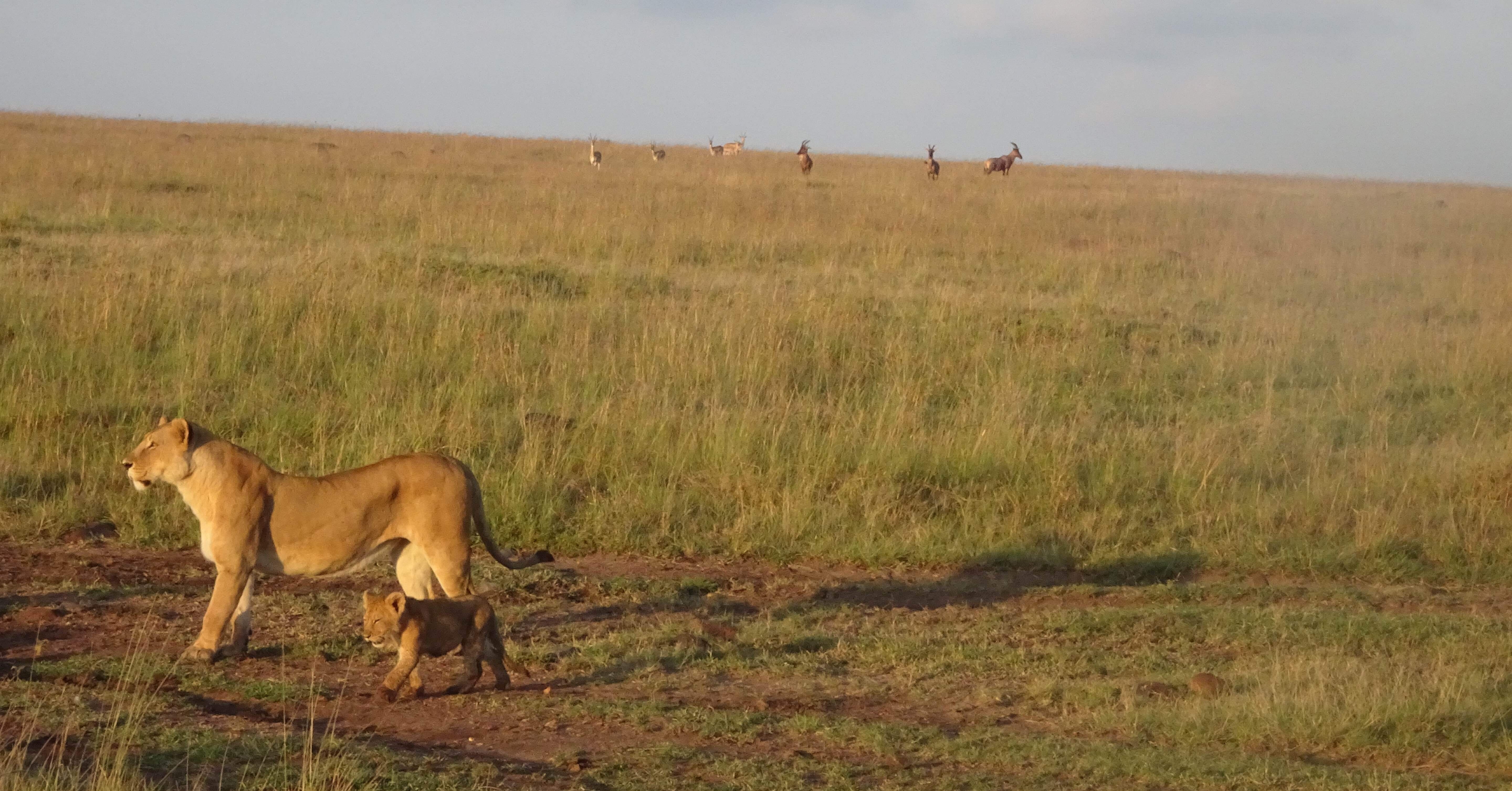 6b169d04d8bc0a0d5f71a81803cc38