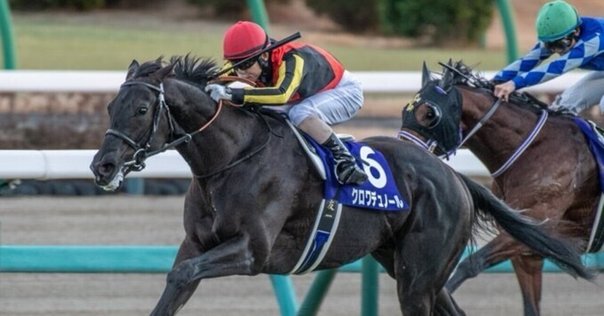 高評価なギフト 日本ダービー ディープインパクト 日本優駿 10枚
