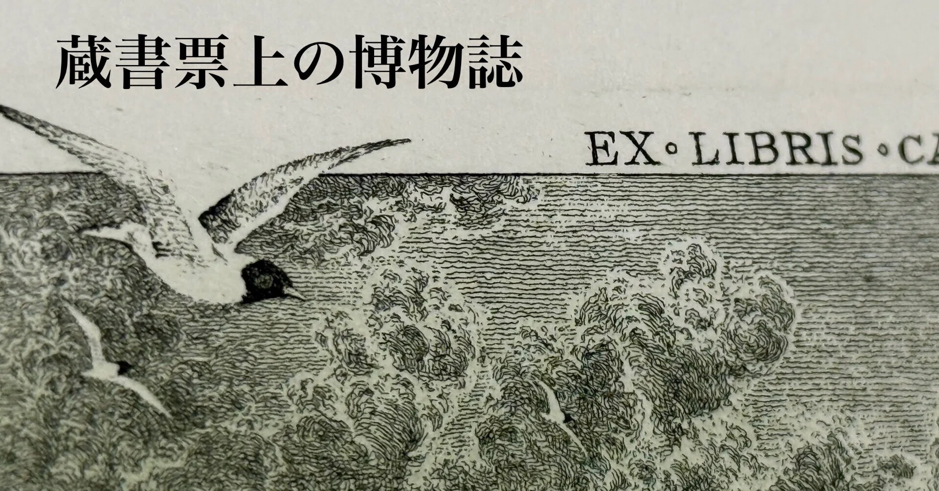 蔵書票上の博物誌｜Shudogen