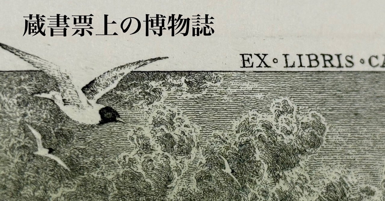 岩波文庫 特製 蔵書票 蔵書票上の博物誌｜Shudogen