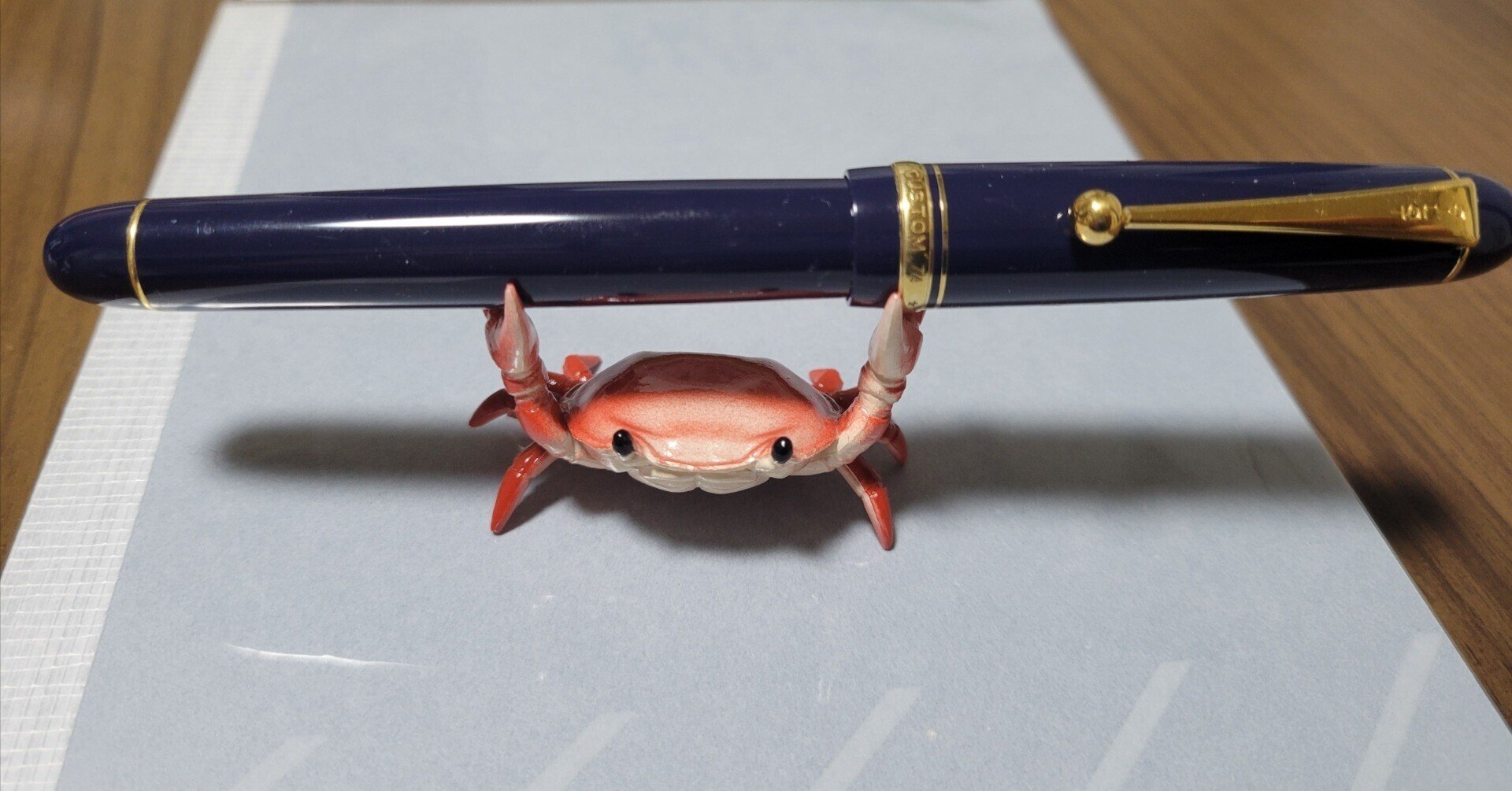 PILOT 万年筆 マンネンヒツ カスタム74 DL-EF ダークブルー PILOT