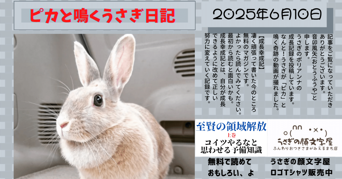 女の子向けプレゼント集結 夢裡で小銭を集めすぎるアレに気付いた夜だったような日｜背文字 ノート・メモ帳