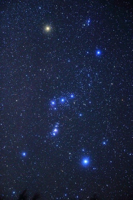 星座を学ぶ 第一回 オリオン座 Tohoku Space Community Note