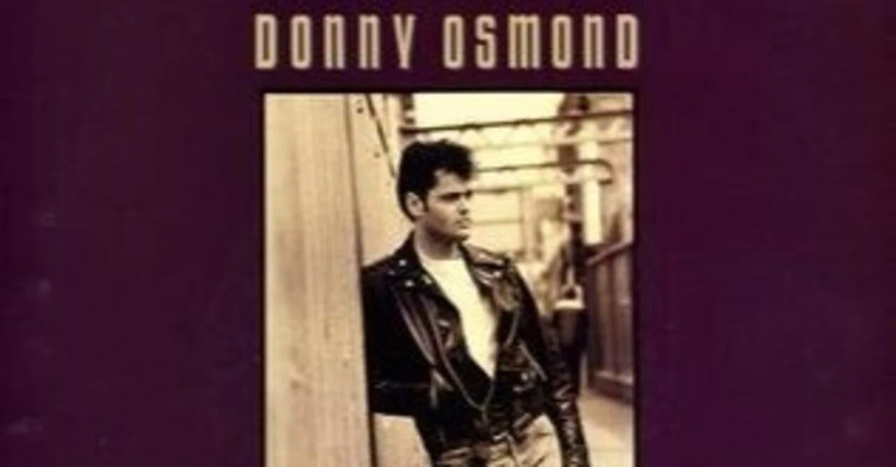 和訳】Soldier Of Love / ソルジャー・オブ・ラヴ（Donny Osmond 