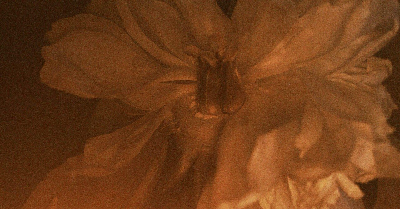とにかく美しい薄物 紗合わせ 秘すれば花 | 福岡 和服の美容整形