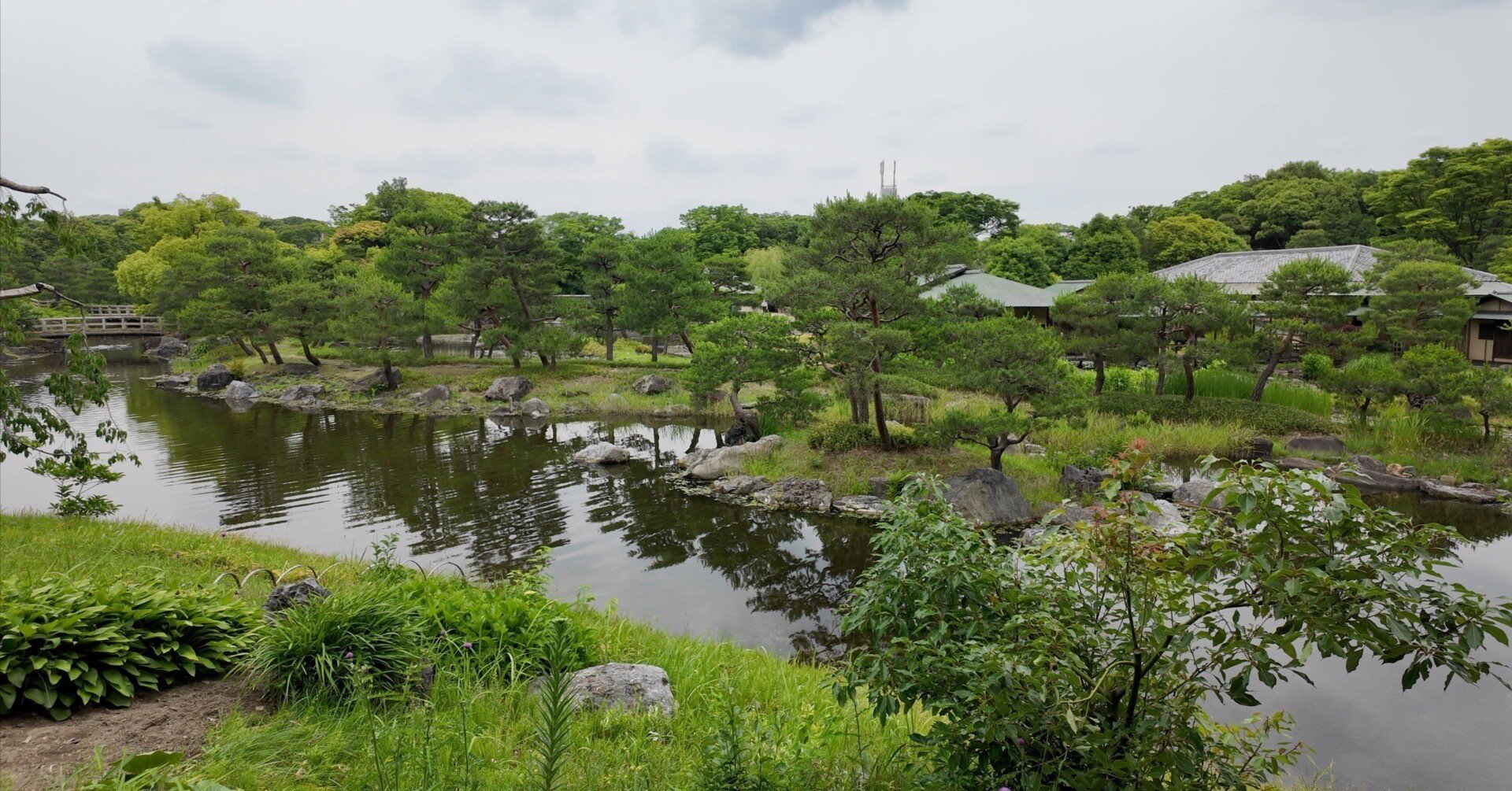 新緑きらめく白鳥庭園をそぞろ歩き｜Masami Ikawa