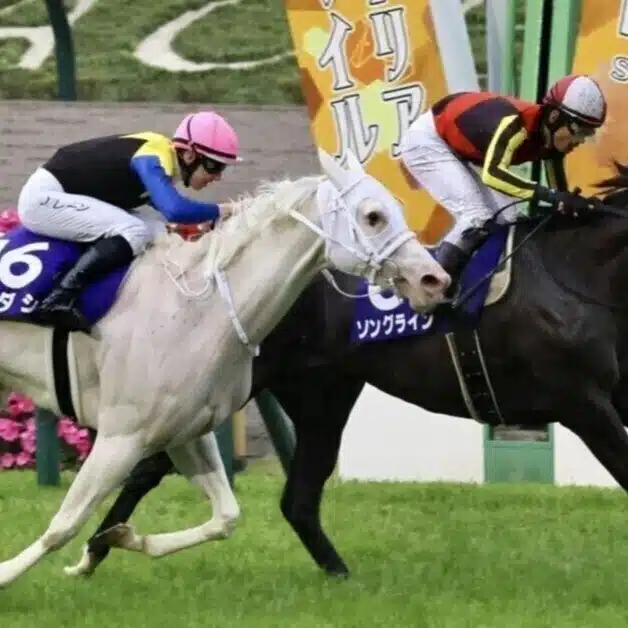 居城ゆうまのAI競馬予想