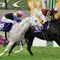 居城ゆうまのAI競馬予想