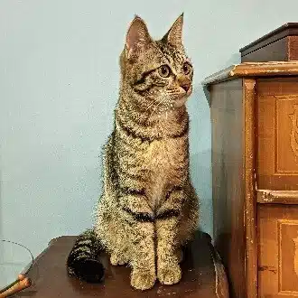 るこ