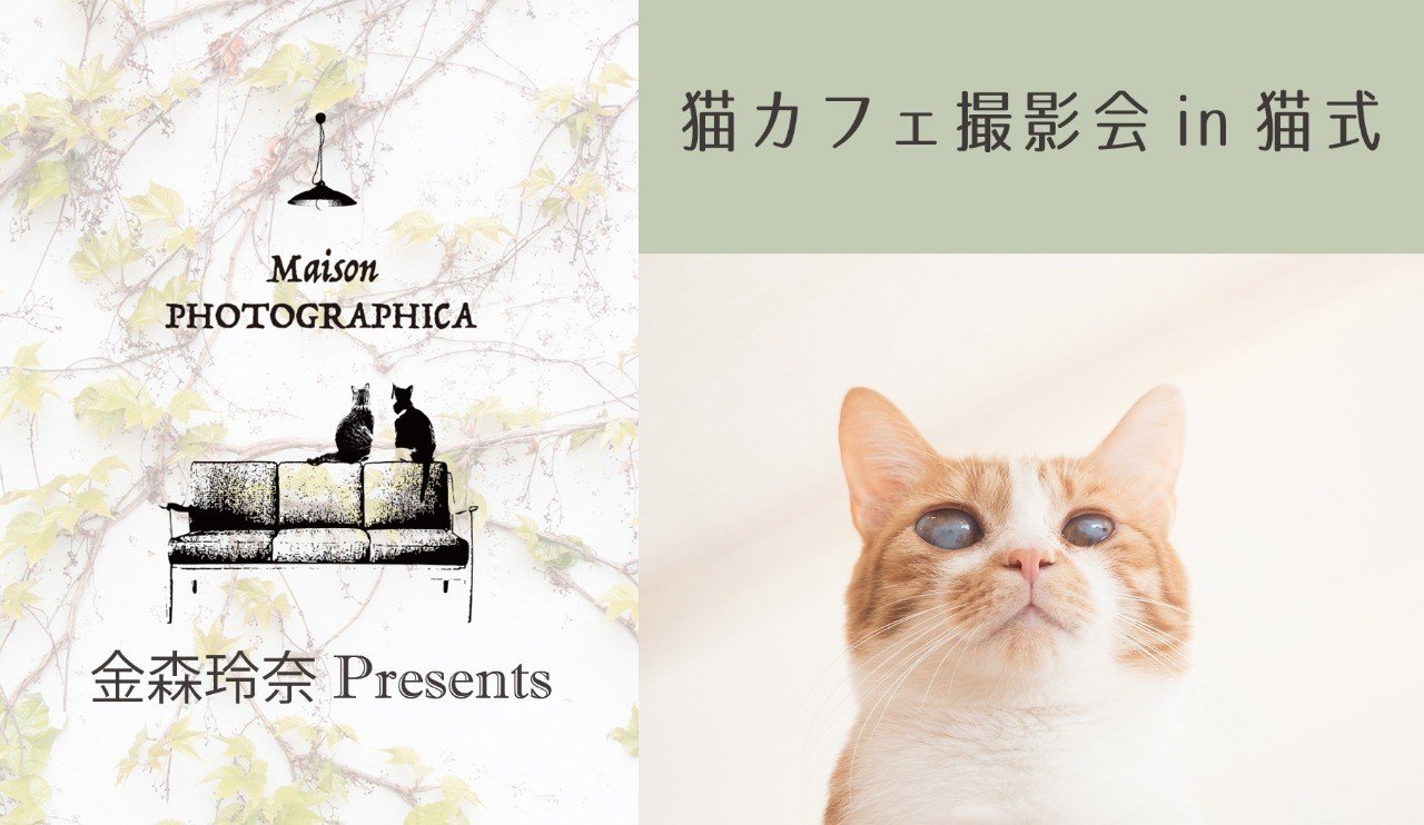猫カフェ撮影会 In 猫式 金森玲奈 Note