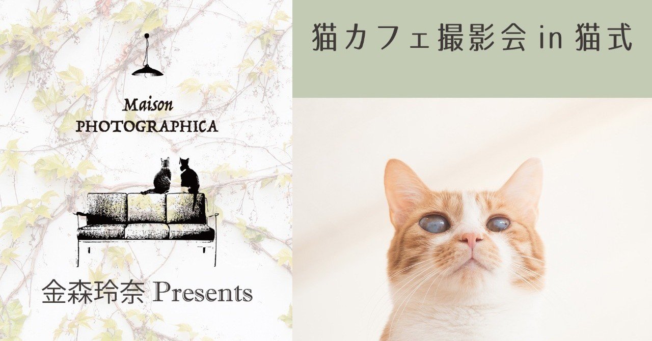 猫カフェ撮影会 In 猫式 金森玲奈 Note