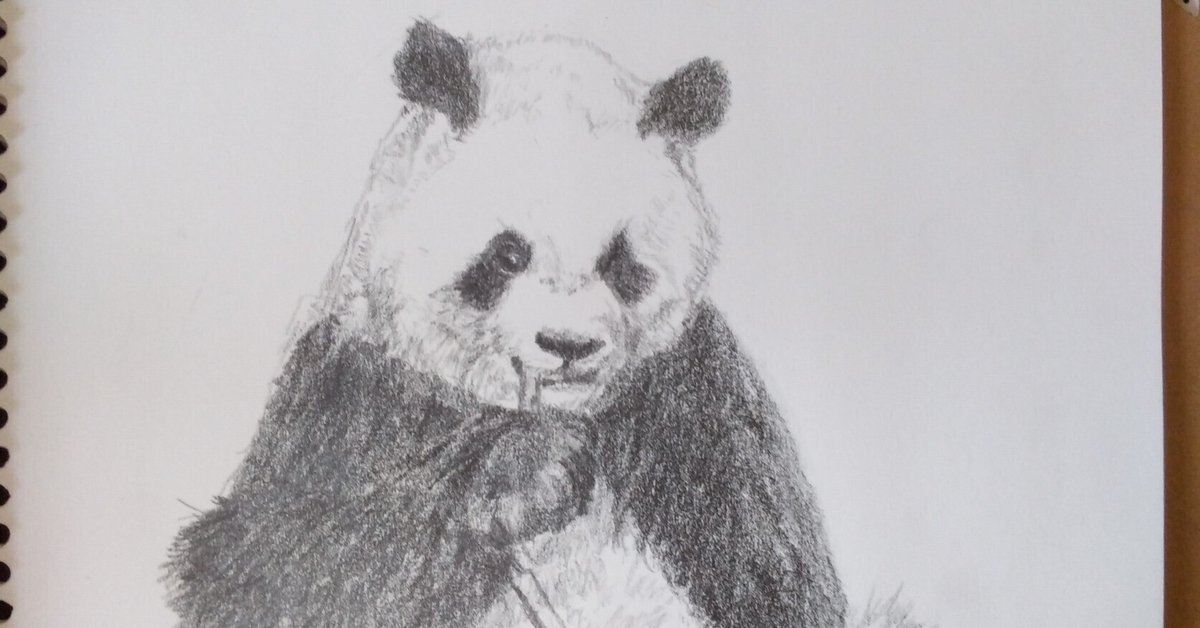 Chito Bear パンダ テディベア 作家