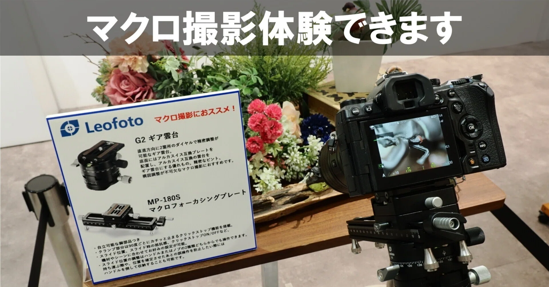 マクロ撮影体験コーナーのご案内｜OM SYSTEM PLAZA