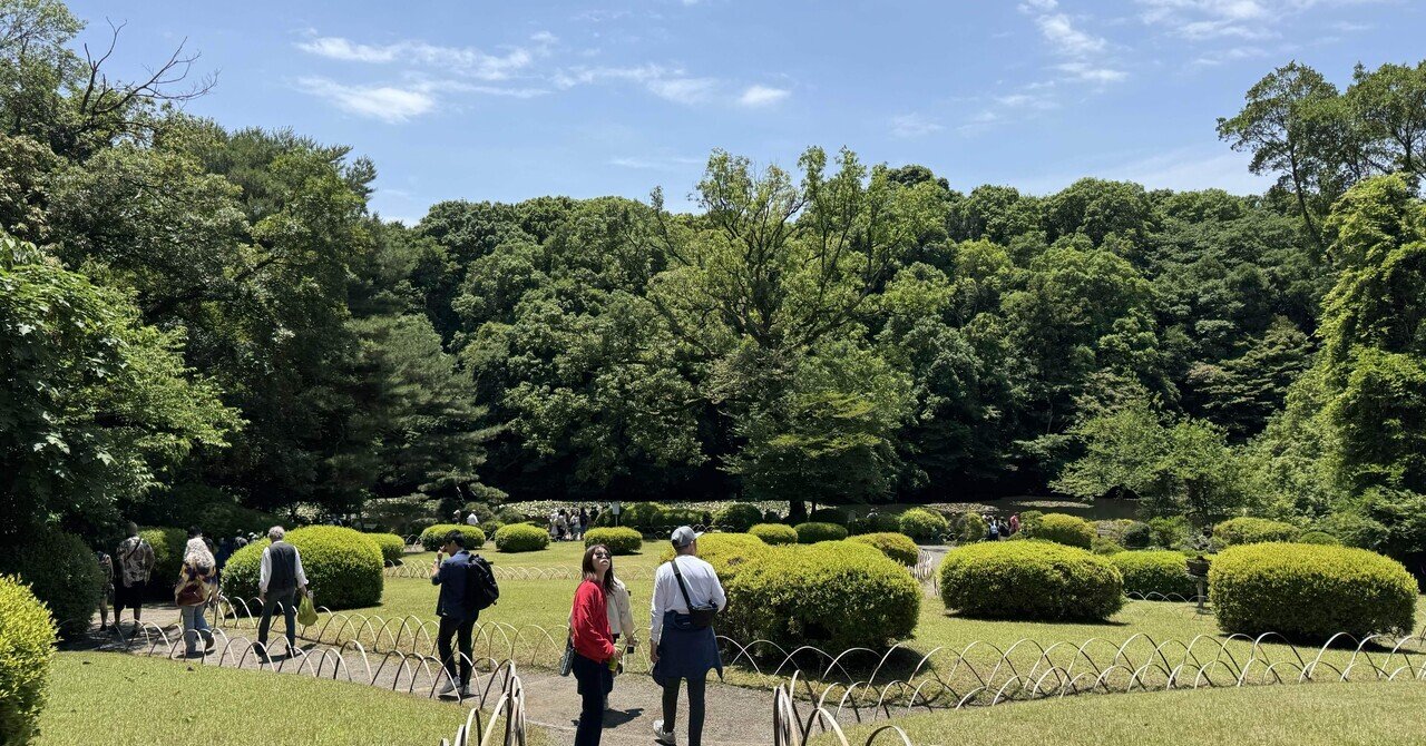 東京散歩】明治神宮・花菖蒲と清正井(2025年6月)｜づぅつん@ジタバタと